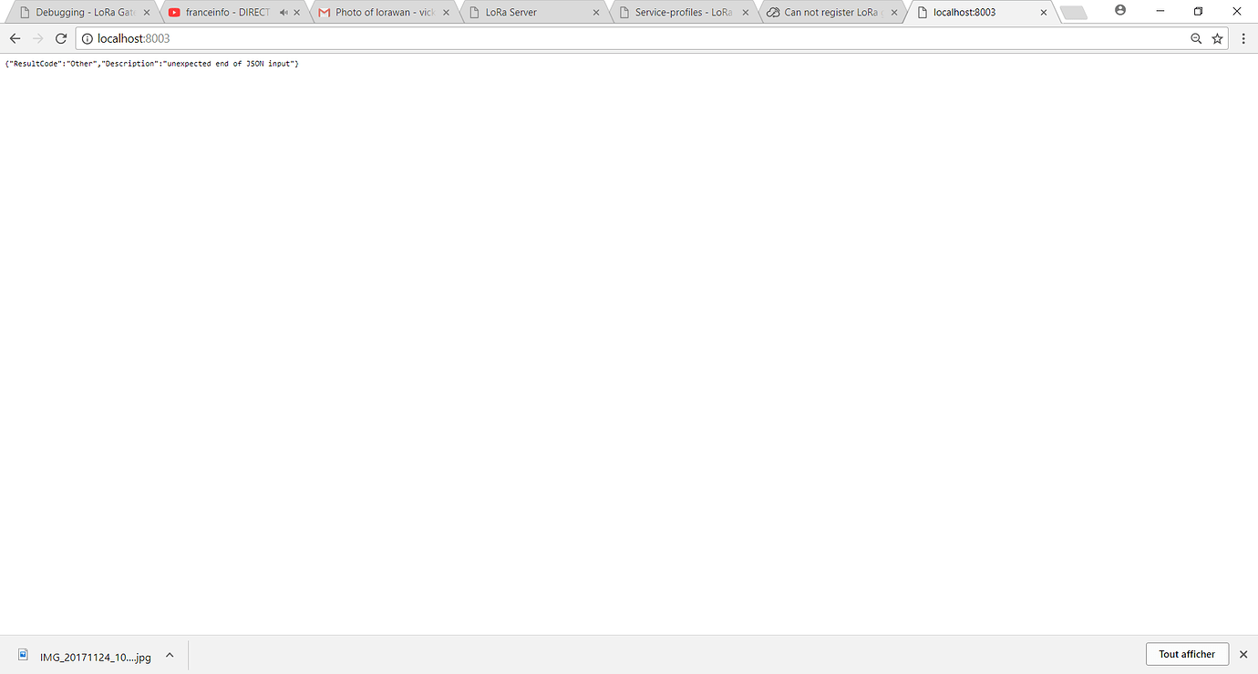 Can not register network-server - ChirpStack Application Server ...